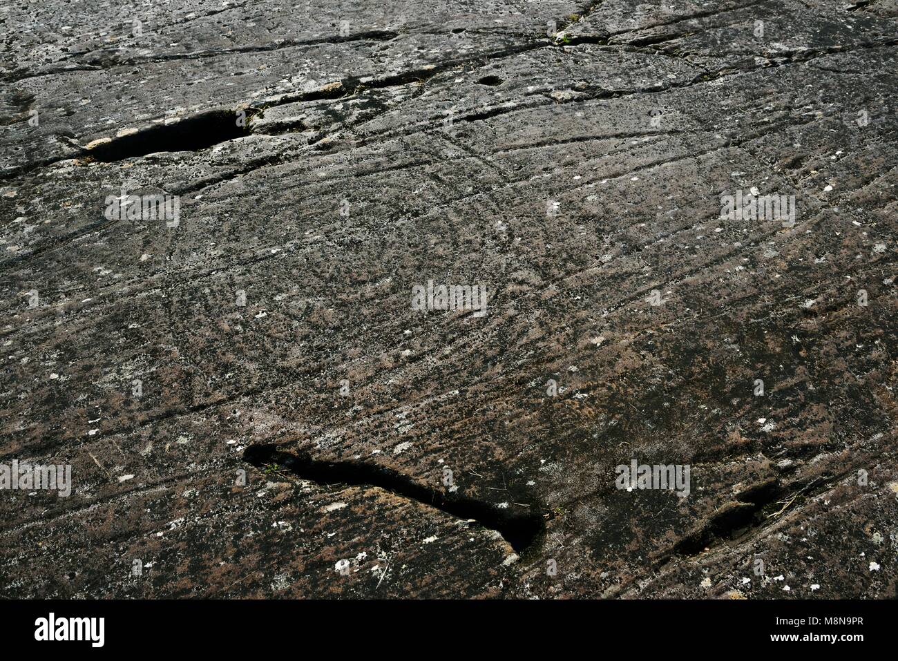 Cup e anello di marchi marchio neolitico preistoriche rupestri su roccia naturale affioramento a Achnabreck in Kilmartin Valley, Argyll, Scotland, Regno Unito Foto Stock