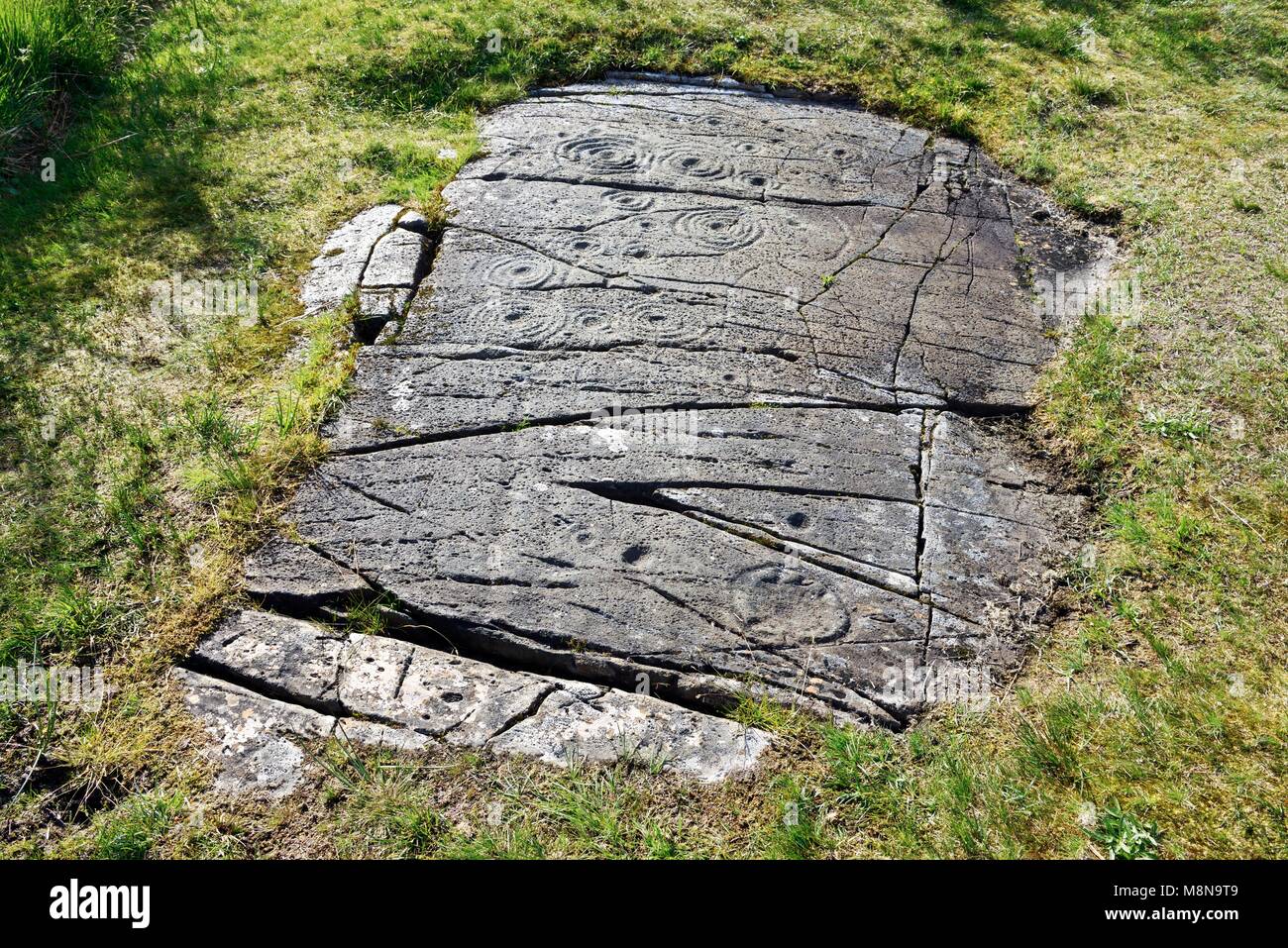 Cup e anello di marchi marchio neolitico preistoriche rupestri su roccia naturale affioramento a Cairnbaan in Kilmartin Valley, Argyll, Scotland, Regno Unito Foto Stock