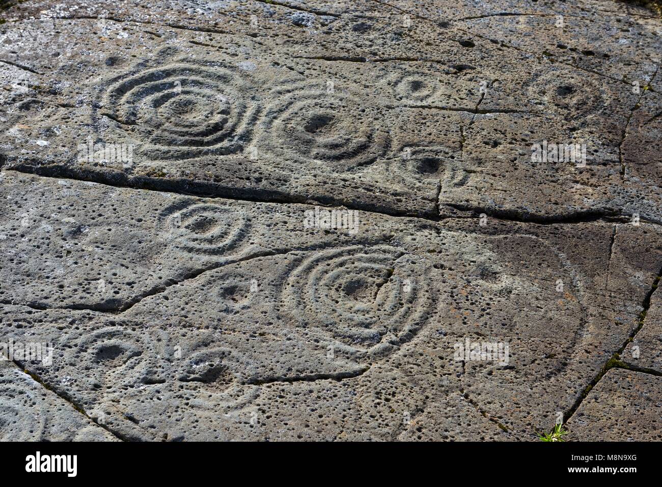 Cup e anello di marchi marchio neolitico preistoriche rupestri su roccia naturale affioramento a Cairnbaan in Kilmartin Valley, Argyll, Scotland, Regno Unito Foto Stock