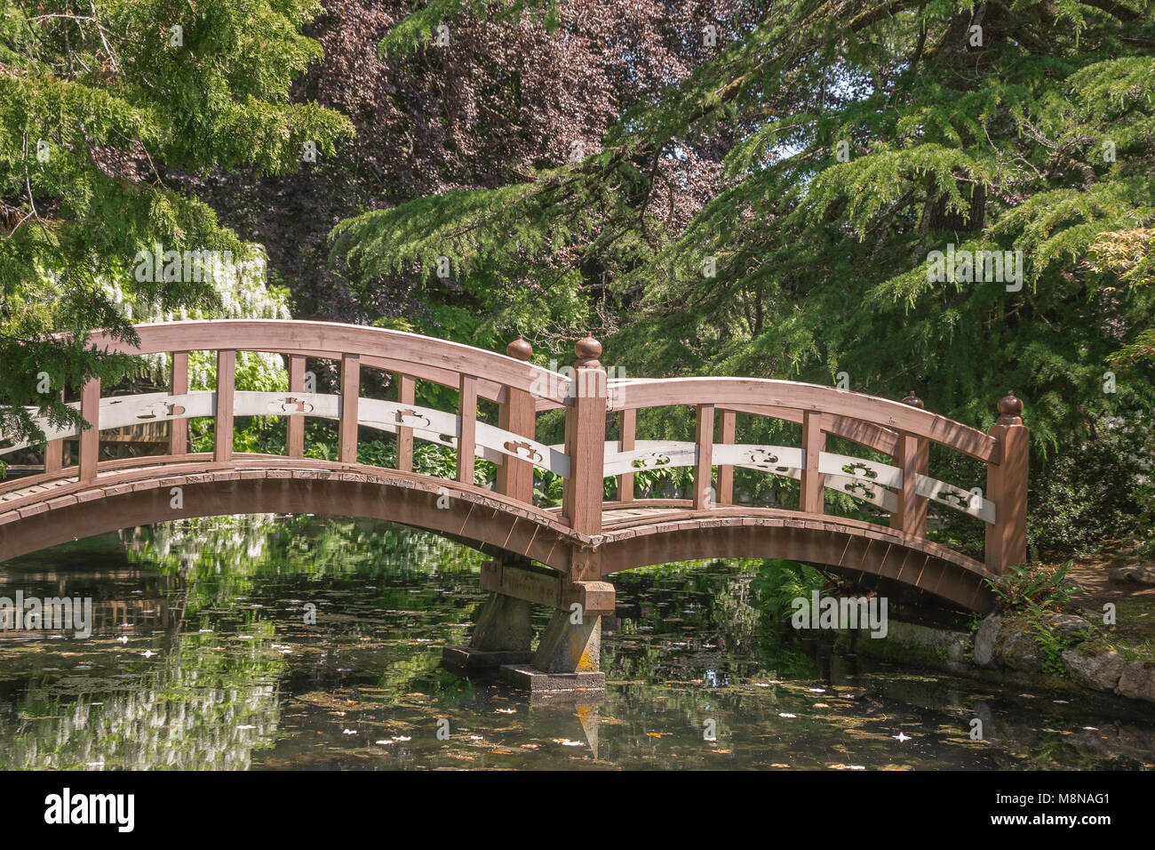 Hartley Park si trova a Colwood (Victoria) BC è un nazionale sito histoic. Questo legno ponte pedonale si trova presso il giardino giapponese a Hartley Par Foto Stock