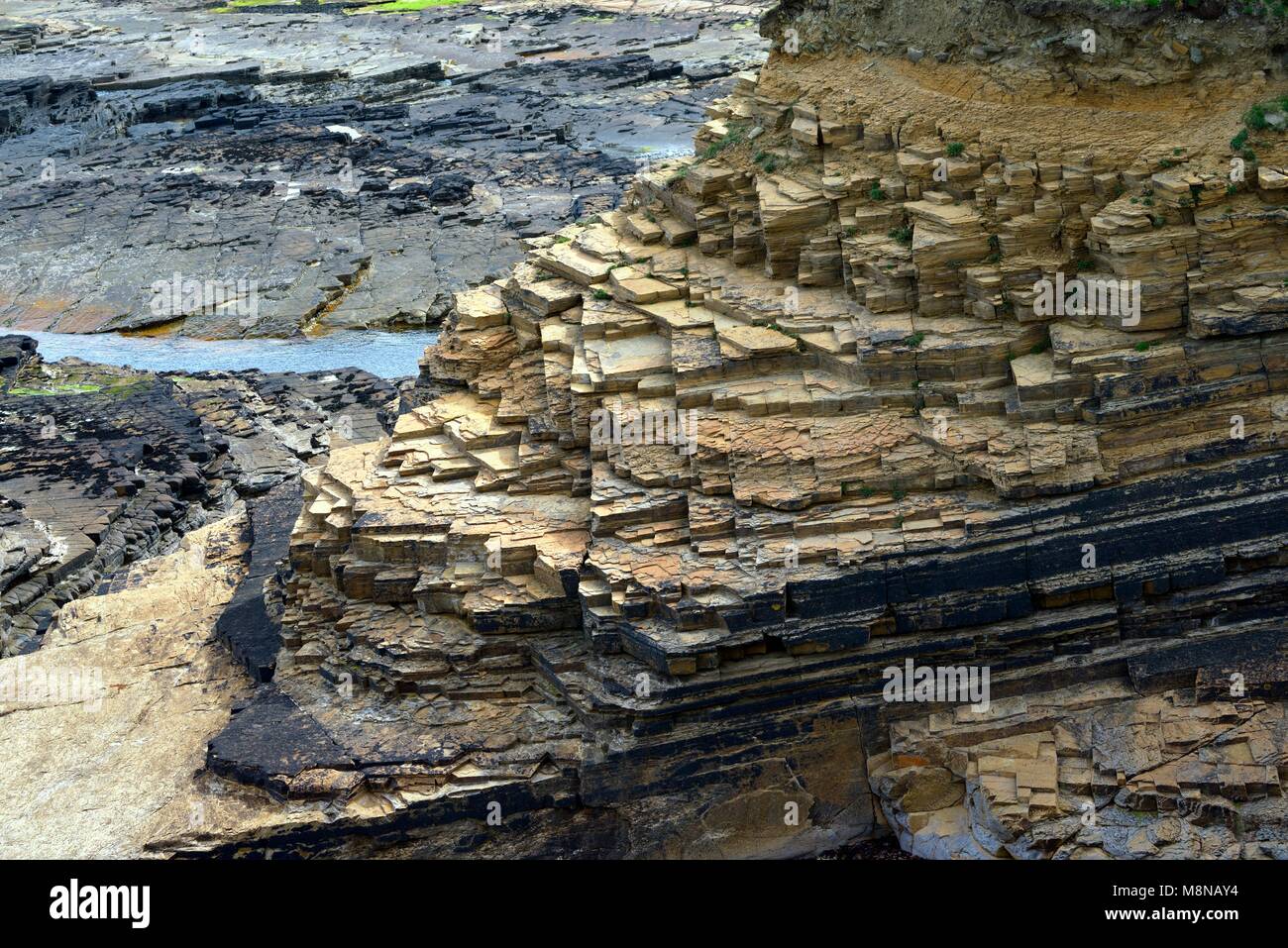 Vecchia arenaria rossa scisso orizzontale degli strati rocciosi. Orkney continentale costa nord vicino Birsay. Medio periodo Devoniano tipo noto come Stromness Bandiere Foto Stock