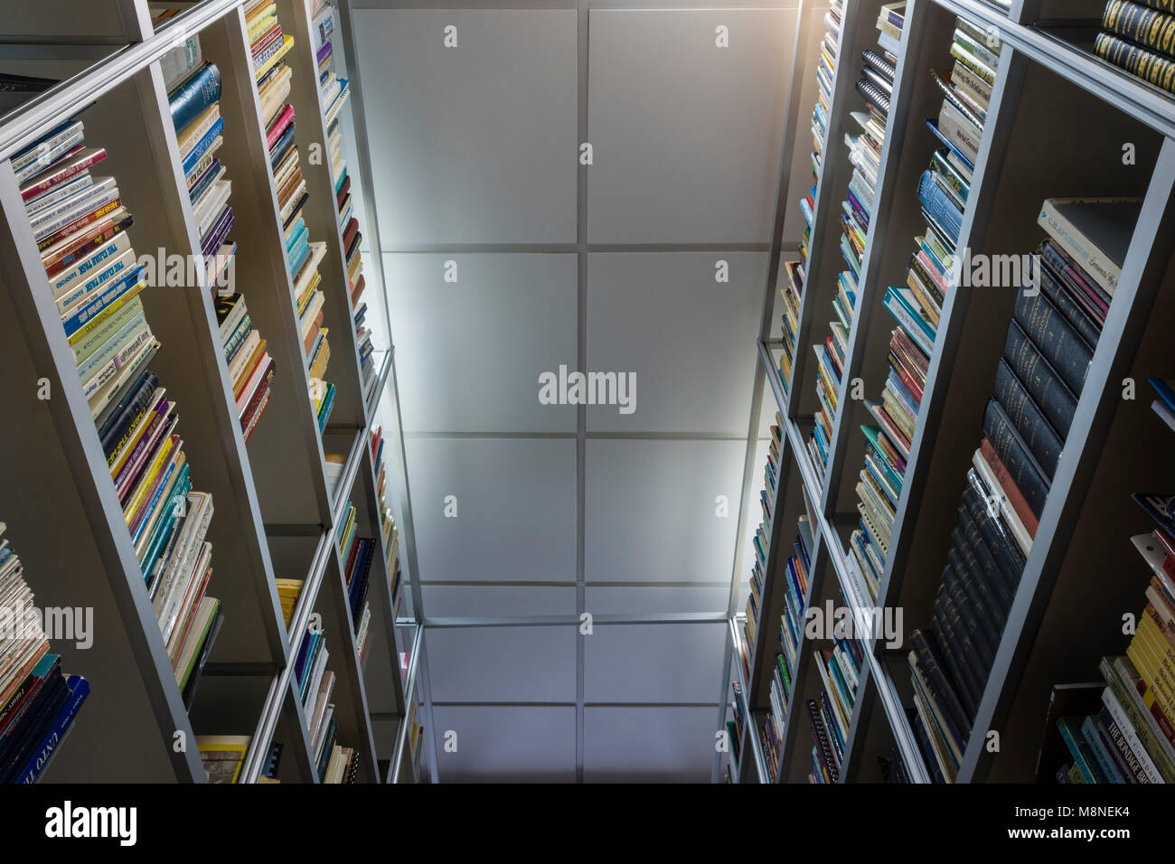La biblioteca di libri Foto Stock