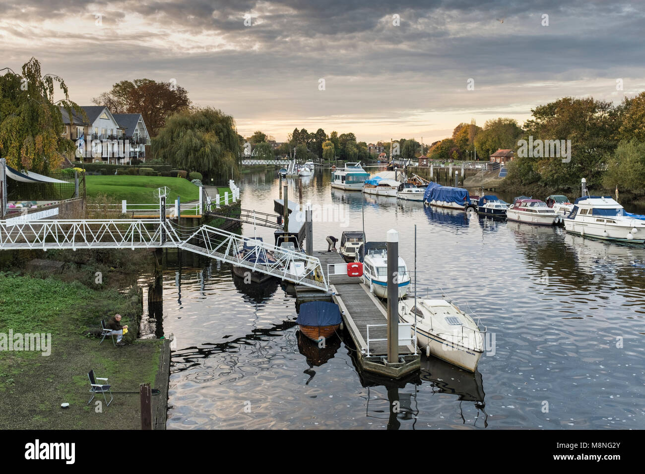 Barche ormeggiate lungo il fiume Tamigi, Teddington, London Borough of Richmond upon Thames, Regno Unito Foto Stock