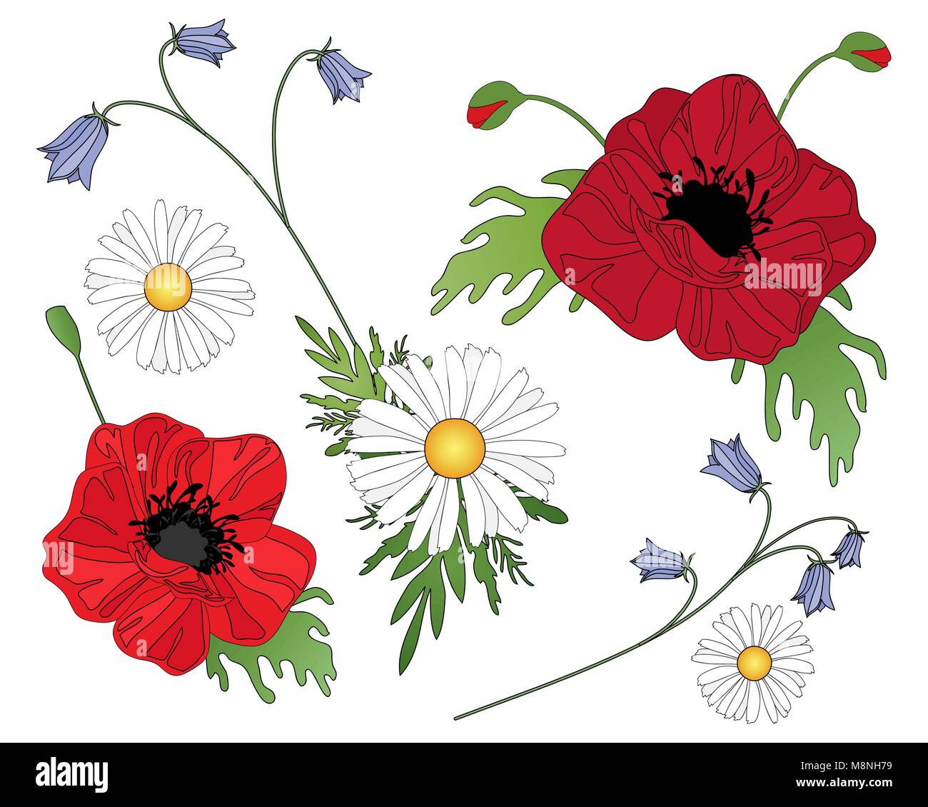 Una illustrazione vettoriale in formato eps formato 10 di fiori selvatici compresi harebells papaveri e margherite disposti su uno sfondo bianco Illustrazione Vettoriale