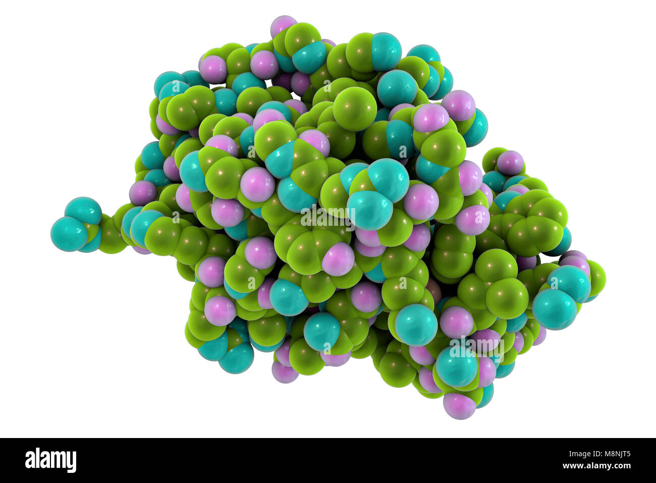 Molecola di lisozima, illustrazione del computer. I lisozimi sono enzimi  trovati in una vasta gamma di fluidi biologici come lacrime, saliva e latte  Foto stock - Alamy