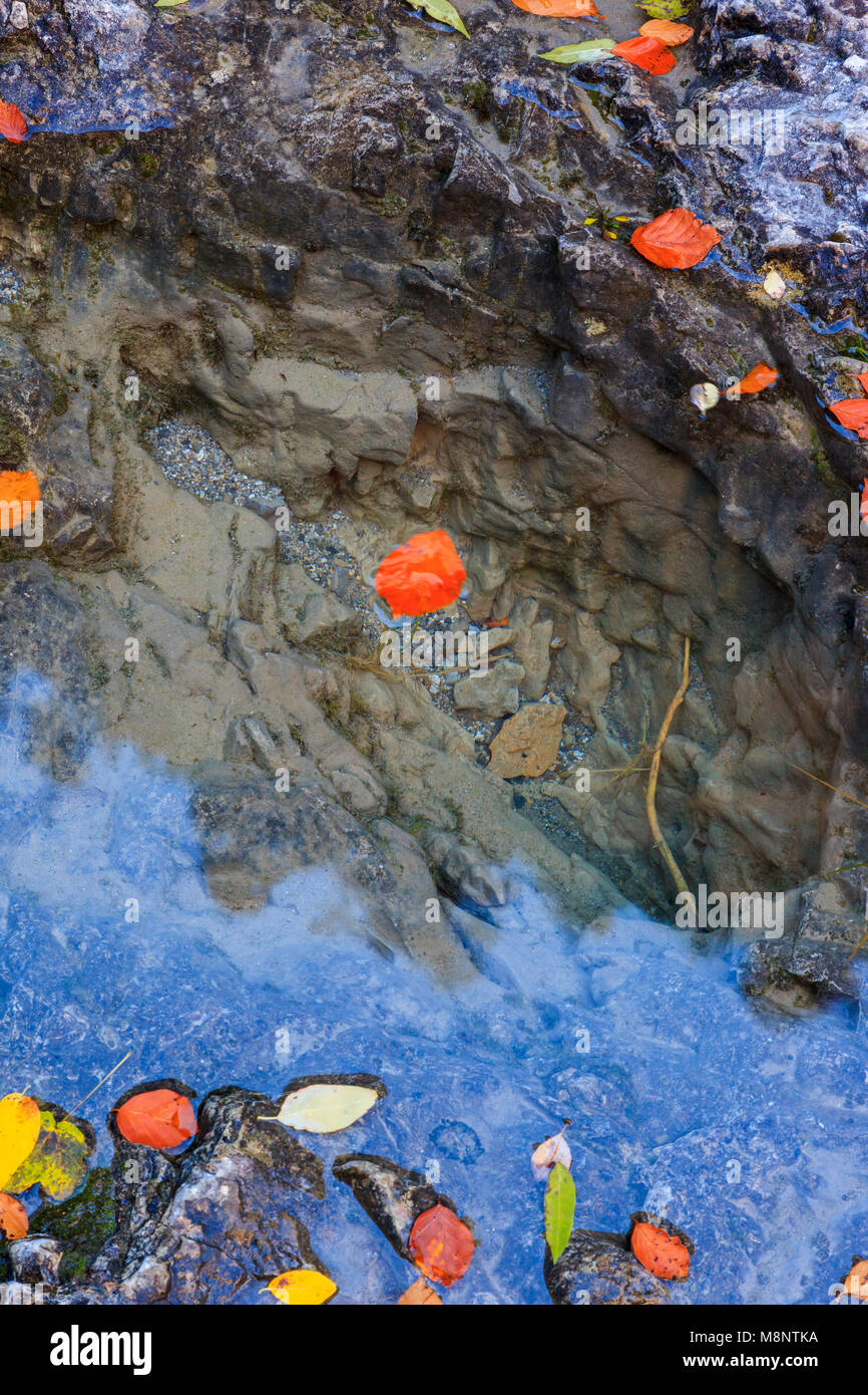 Piscina nel fiume Bellós, Cañón de Añisclo a Ordesa National Park, Huesca, Aragona, Spagna, Europa Foto Stock