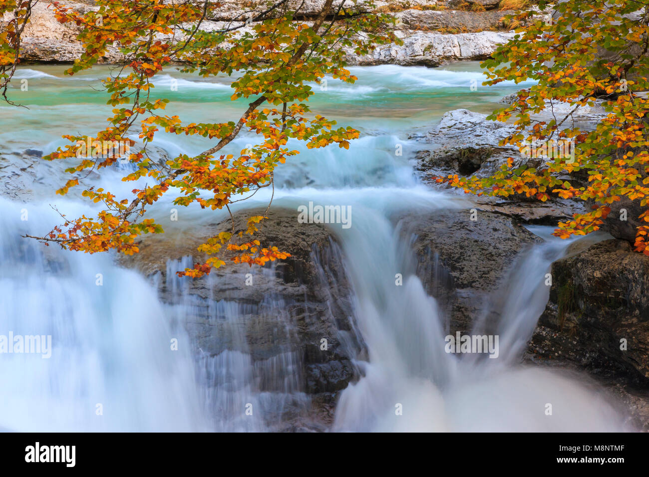 Cascata, Bellós fiume e faggi, Cañón de Añisclo a Ordesa National Park, Huesca, Aragona, Spagna, Europa Foto Stock