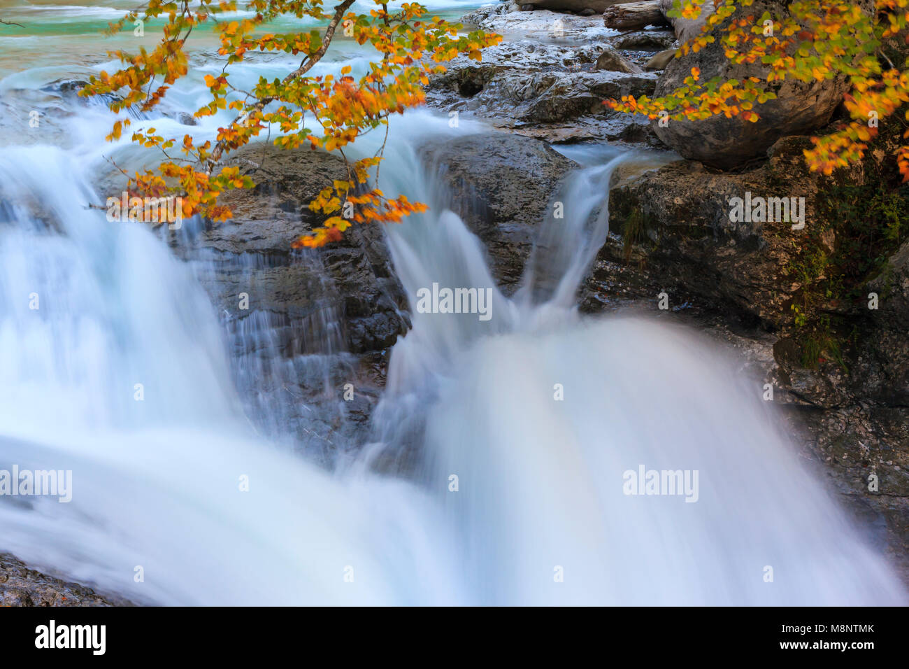 Cascata, Bellós fiume e faggi, Cañón de Añisclo a Ordesa National Park, Huesca, Aragona, Spagna, Europa Foto Stock