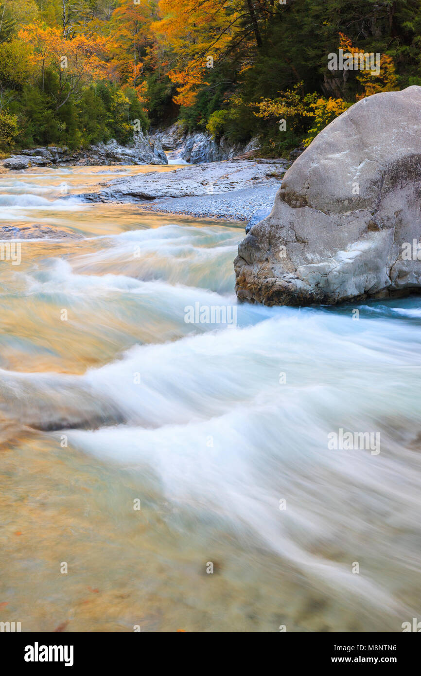 Cascata, Bellós fiume e faggi, Cañón de Añisclo a Ordesa National Park, Huesca, Aragona, Spagna, Europa Foto Stock