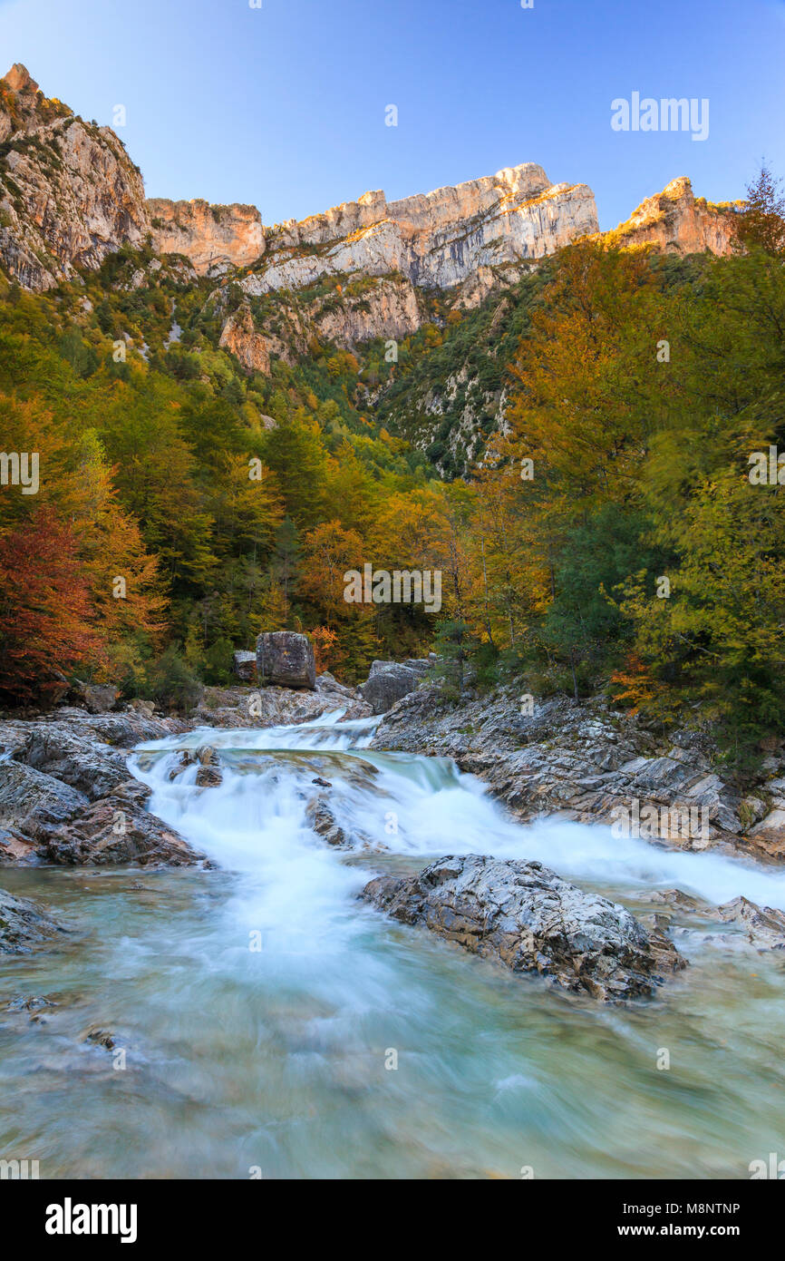 Cascata, Bellós fiume e faggi, Cañón de Añisclo a Ordesa National Park, Huesca, Aragona, Spagna, Europa Foto Stock