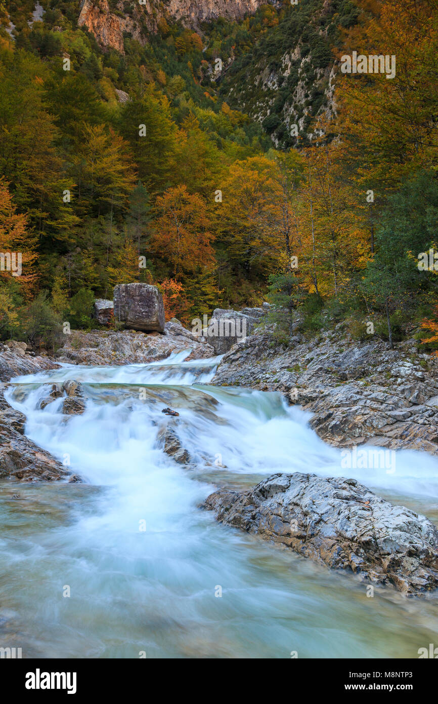 Cascata, Bellós fiume e faggi, Cañón de Añisclo a Ordesa National Park, Huesca, Aragona, Spagna, Europa Foto Stock