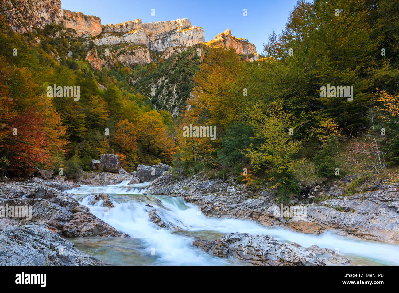 Cascata, Bellós fiume e faggi, Cañón de Añisclo a Ordesa National Park, Huesca, Aragona, Spagna, Europa Foto Stock
