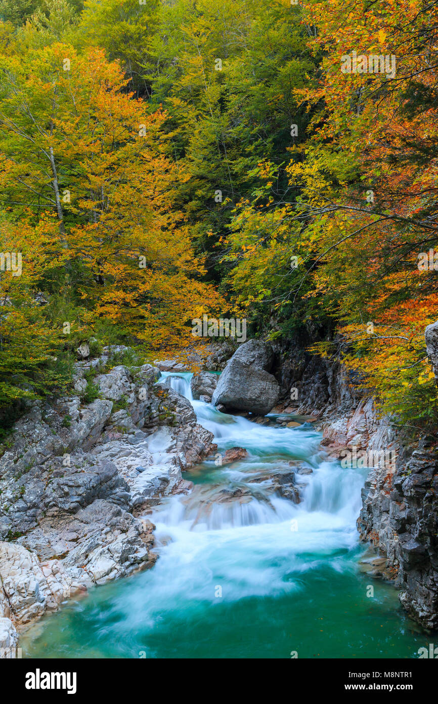 Cascata, Bellós fiume e faggi, Cañón de Añisclo a Ordesa National Park, Huesca, Aragona, Spagna, Europa Foto Stock