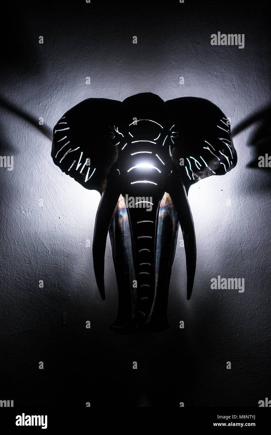 Testa di elefante illuminato da dietro. Oggetto appeso alla parete. Foto Stock