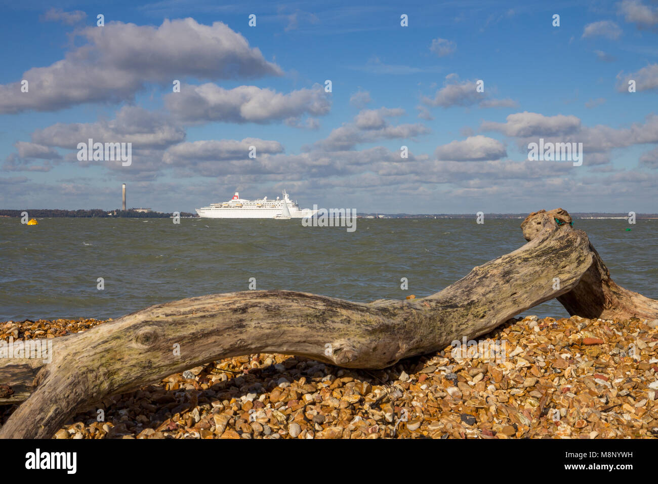 Driftwood su una spiaggia di ciottoli con una nave da crociera con partenza Southampton in background, Cowes, Isle of Wight, Regno Unito Foto Stock