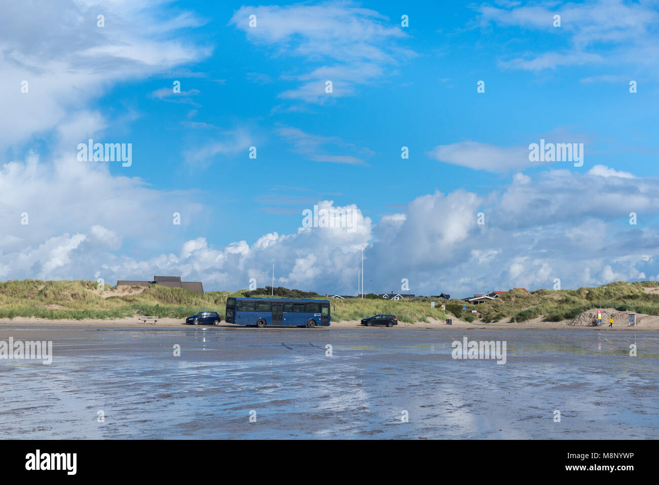 La guida di autobus lungo la spiaggia su un percorso ufficiale, Rindby Beach sull'isola Fanoe, Mare del Nord, nello Jutland, Danimarca e Scandinavia Foto Stock