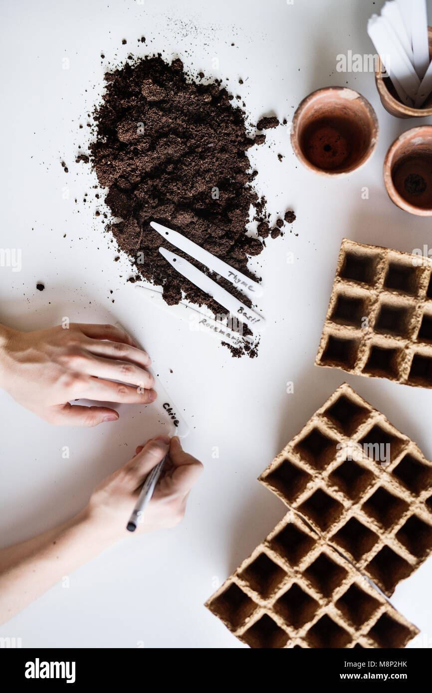 Piantare semi di composizione. Mani femminili iscritto su impianto di etichette. Foto Stock