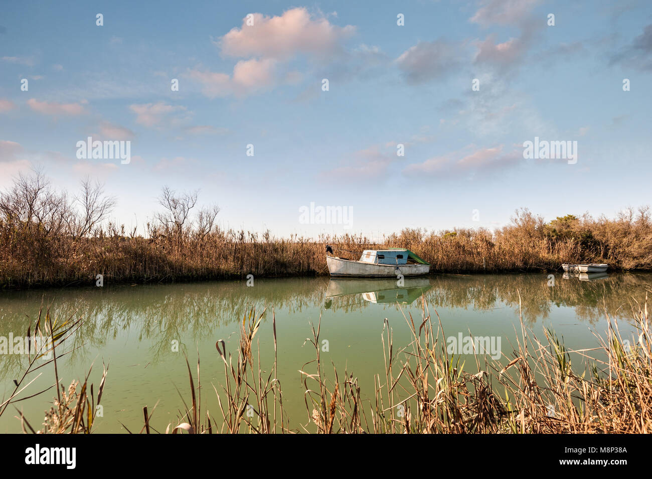Vecchie barche da pesca ormeggiate lungo il canale. Foto Stock
