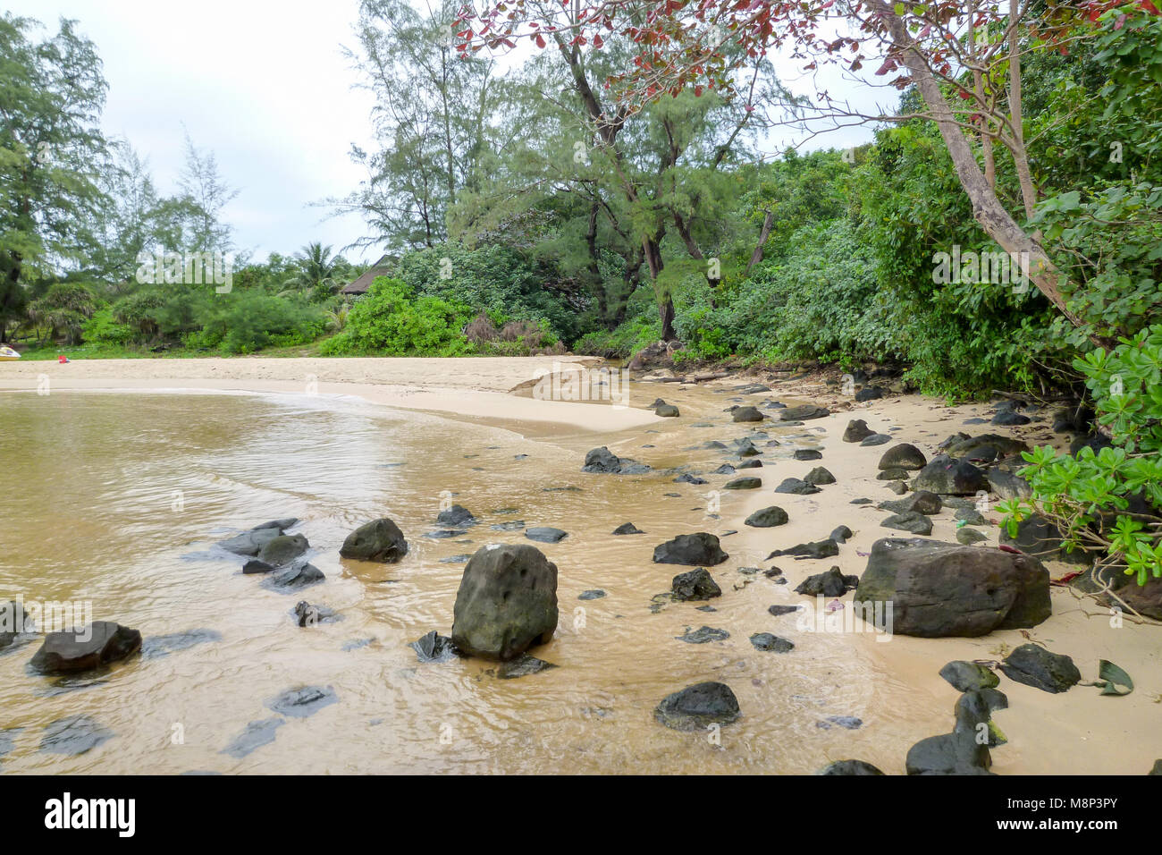 Il fiume di acqua dolce sulla spiaggia di Koh Rong Sanloem isola, Cambogia Foto Stock