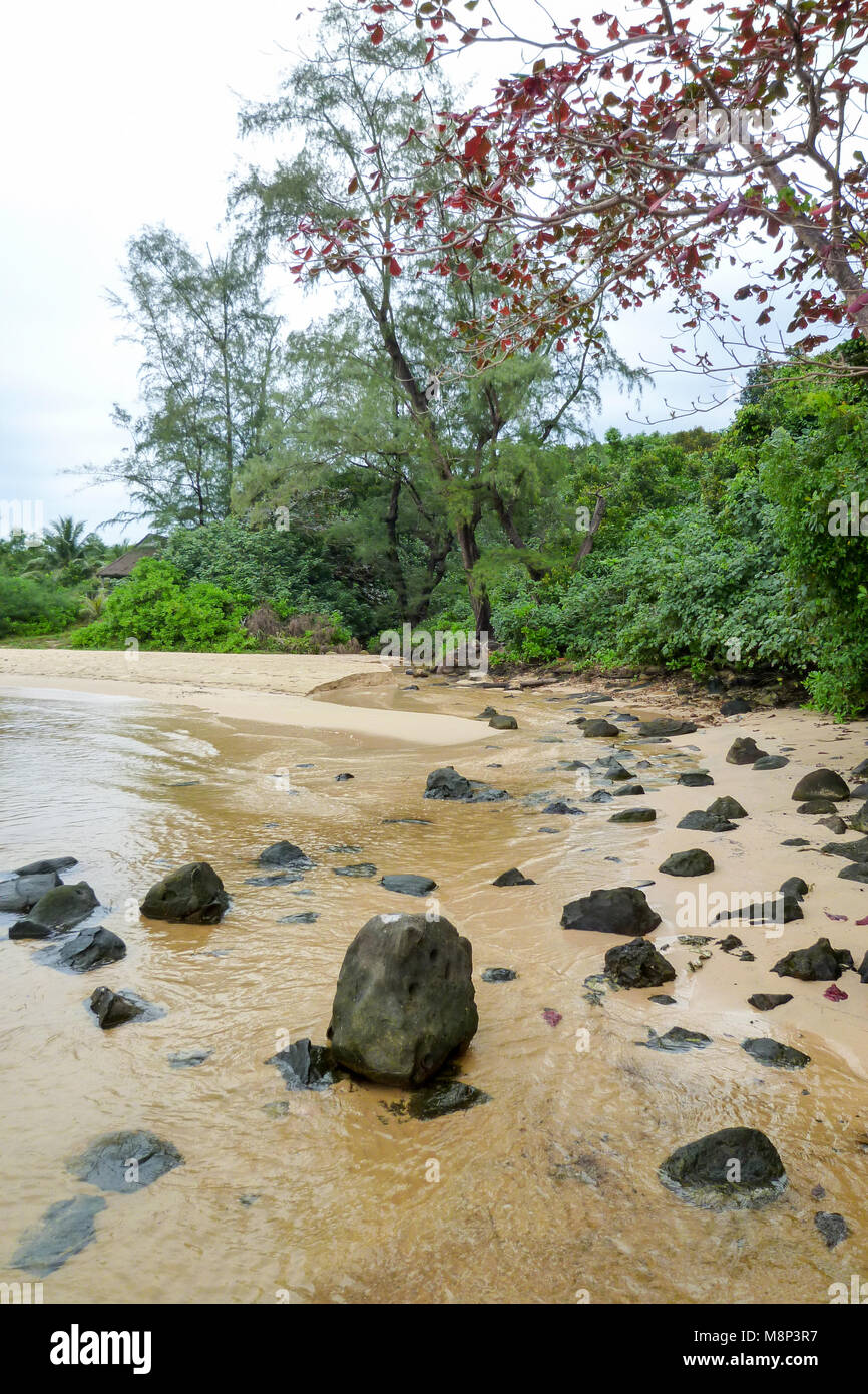 Il fiume di acqua dolce sulla spiaggia di Koh Rong Sanloem isola, Cambogia Foto Stock