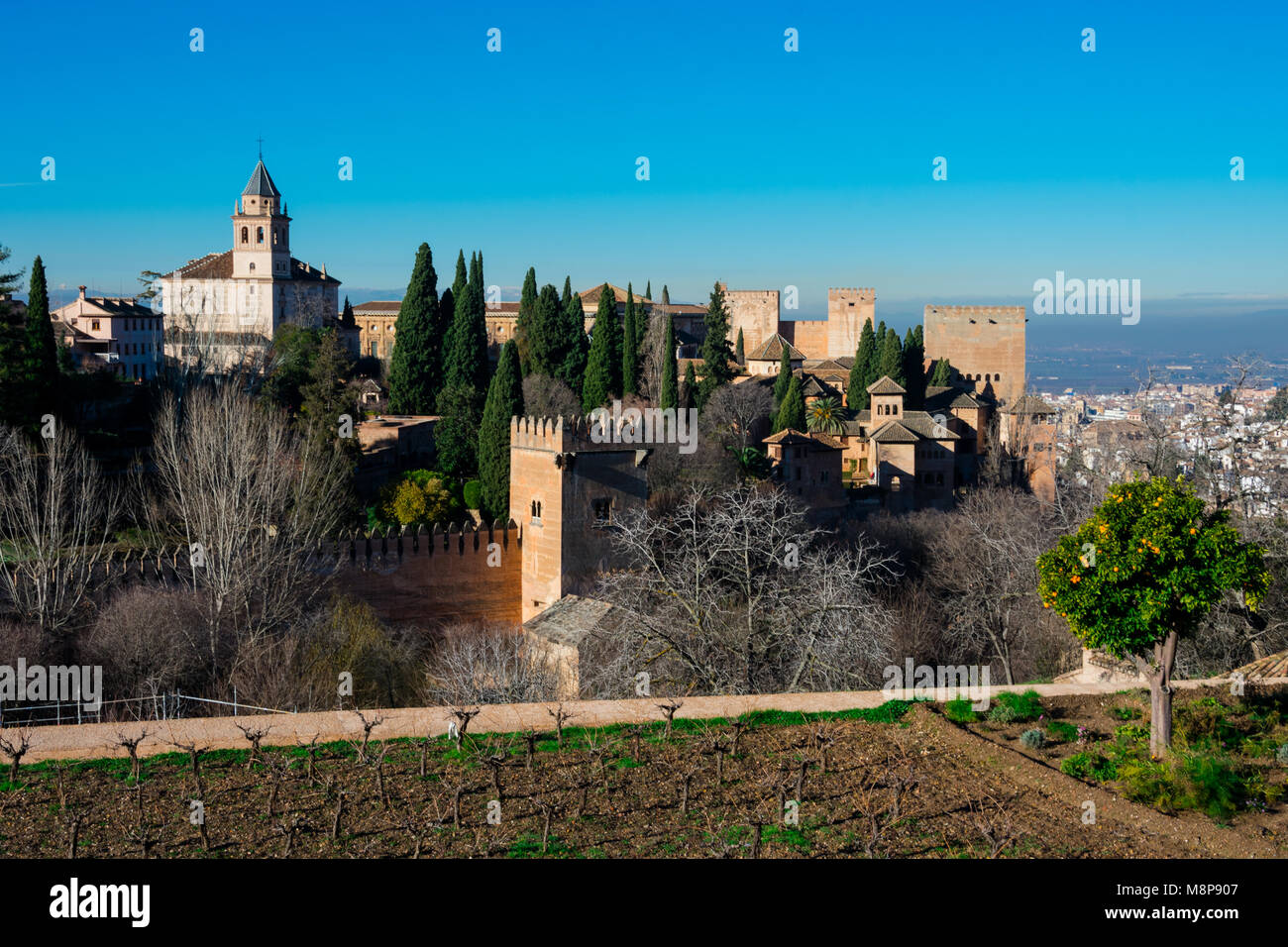 Vista della Alhambra da Giardini Generalife. Granada, Spagna Foto Stock