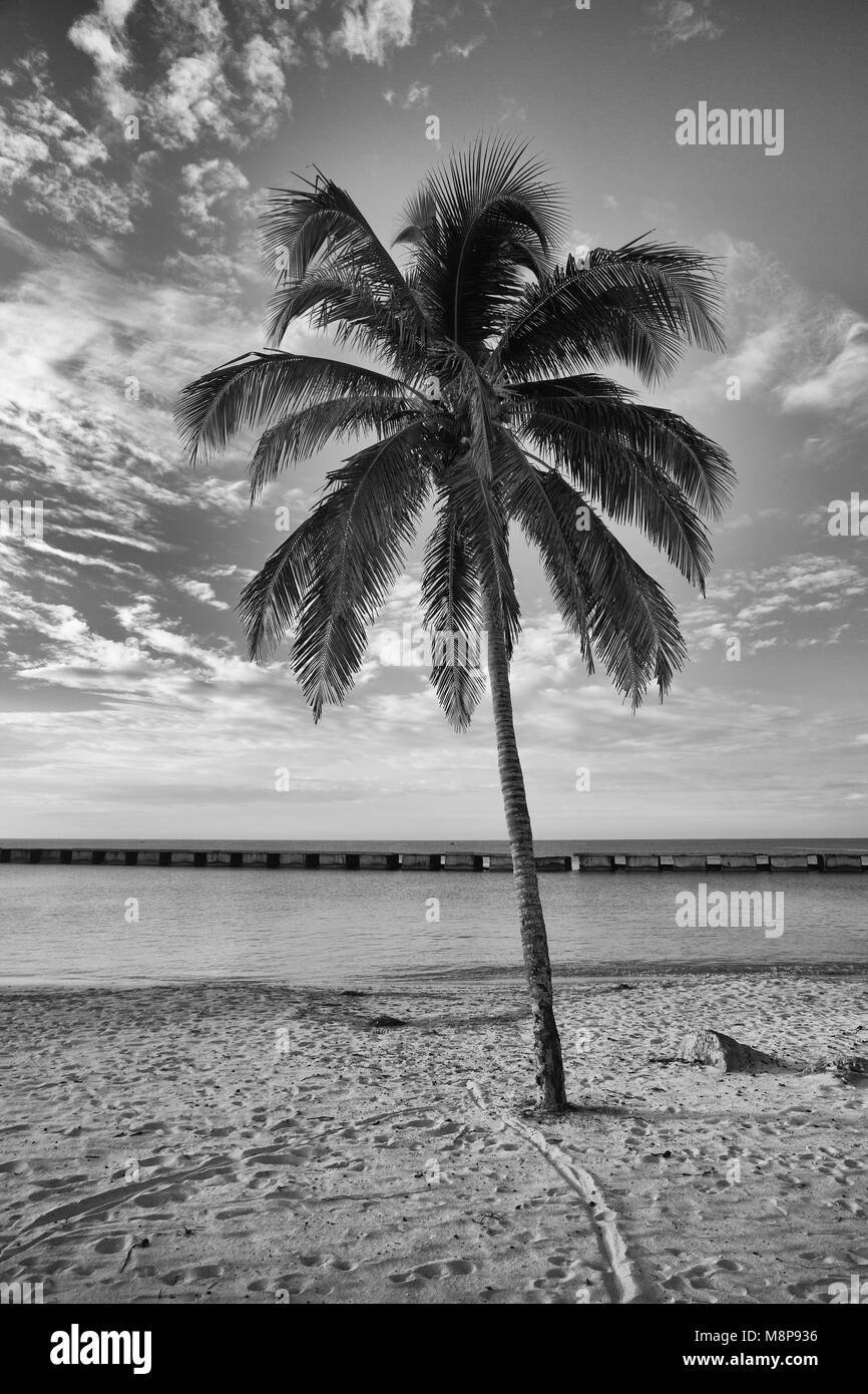 Sulla spiaggia Playa Giron, Cuba. Questa spiaggia è famosa per il suo ruolo durante l invasione di Baia dei Porci. Foto Stock