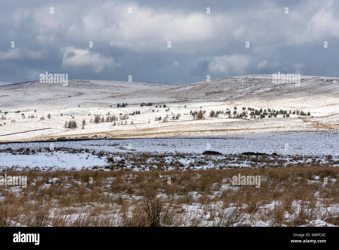 Sunshine colpisce la coperta di neve colline e alberi del Lancashire Moorland Chorley Regno Unito Foto Stock