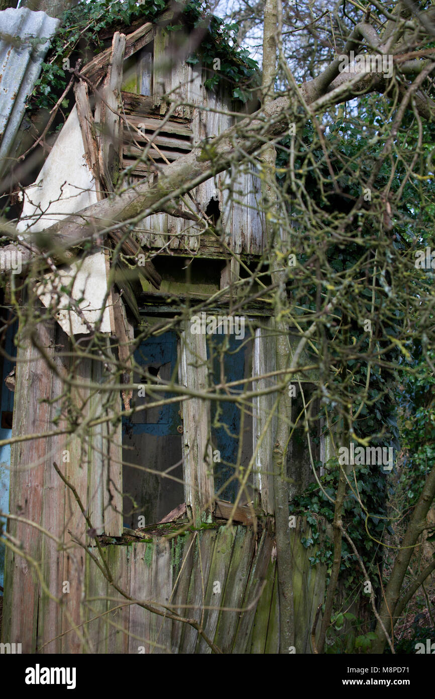 Vecchio abbandonato casa di legno nella foresta, Otford, Kent. Foto Stock