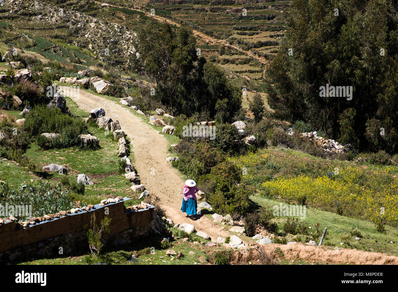 Isla del Sol sul lago Titicaca in Bolivia. È la più grande isola in alta altitudine lago Titicaca Foto Stock