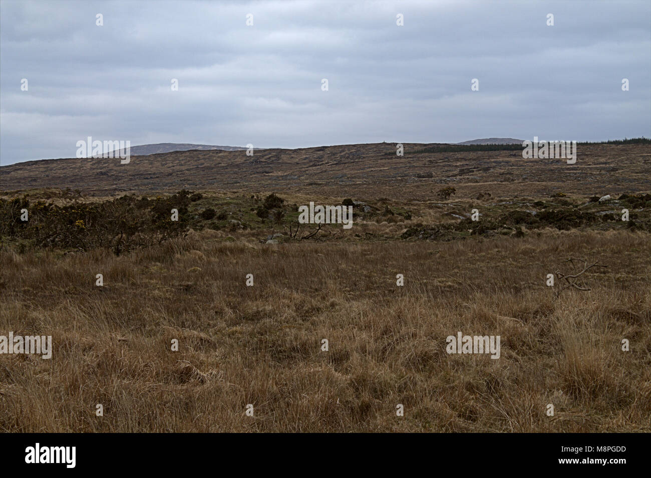 Vista su bog brughiera e aperta campagna sulla penisola di mizen, West Cork, Irlanda Foto Stock