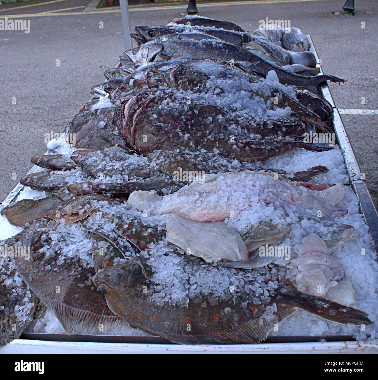 Pesce fresco su ghiaccio sbarcati quel giorno in vendita nel mercato alimentare, West Cork, Irlanda. Foto Stock