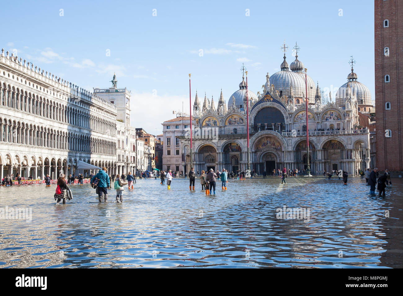 I turisti a piedi attraverso l'acqua alta marea alta con le valige, Piazza San Marco, Piazza San Marco, Venezia, Veneto, Italia nella parte anteriore del St Marks Basilico Foto Stock