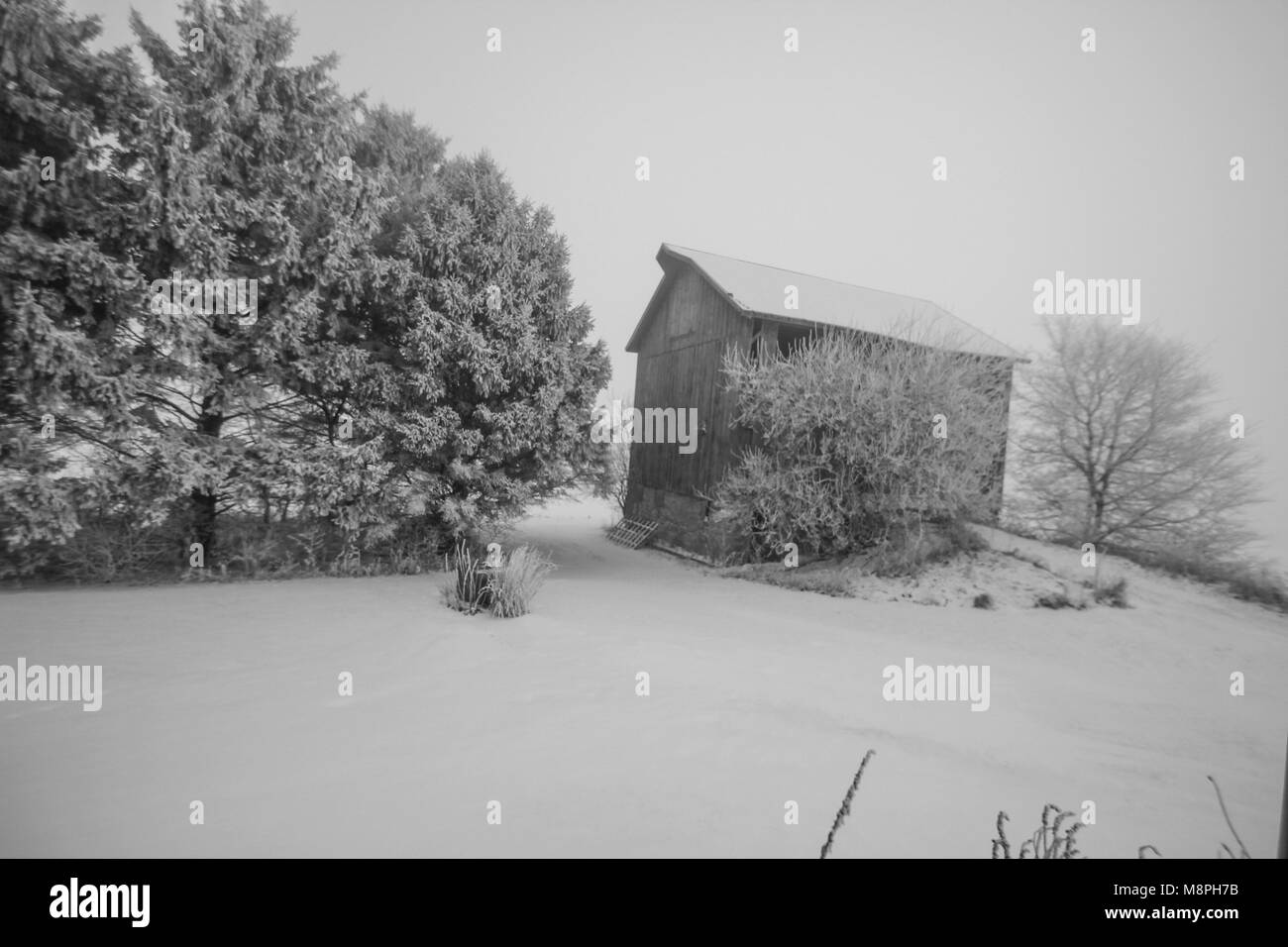 Il vecchio fienile nel gelo e neve in bianco e nero Foto Stock