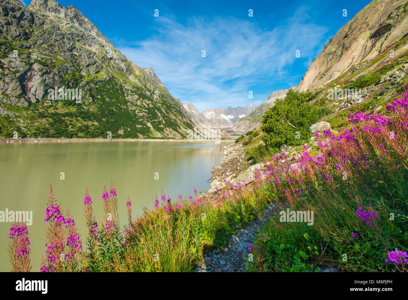 Splendida vista di lontani mountain range, picchi con il lago glaciale, tappeti di fiori a fondo valle. Estate Escursionismo in Svizzera. Foto Stock