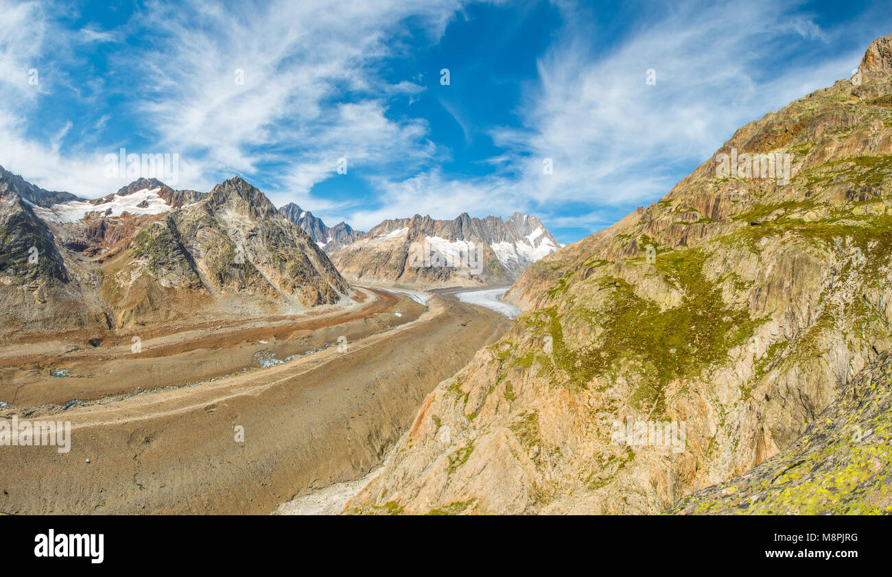 Fantastiche vedute del Grimsel ghiacciaio, valle e lingua del ghiacciaio, circondato da pareti di montagna. Fiori colorati, estate escursionismo in Swtizerland. Foto Stock