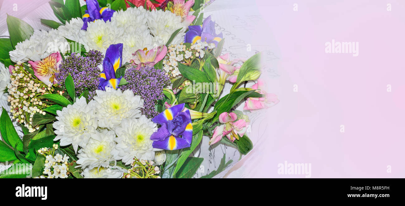 Festa floreale colorato confine con bouquet di fiori diversi: rosa alstroemeria, bianchi crisantemi, blu iris close up con copia spazio per te Foto Stock