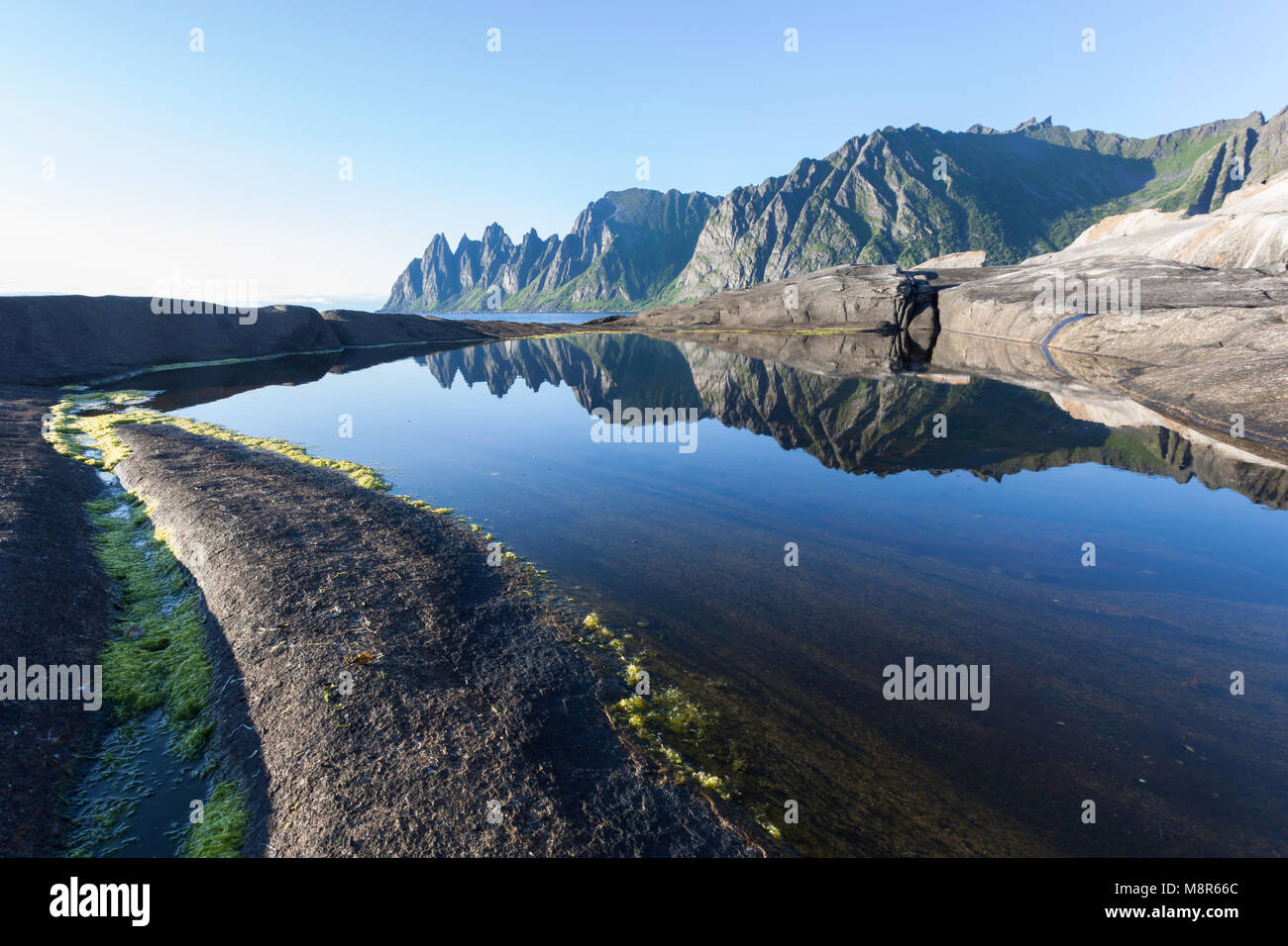 Giorno di estate a Tungeneset, Senja, Norvegia. Okshornan picchi in background. Foto Stock