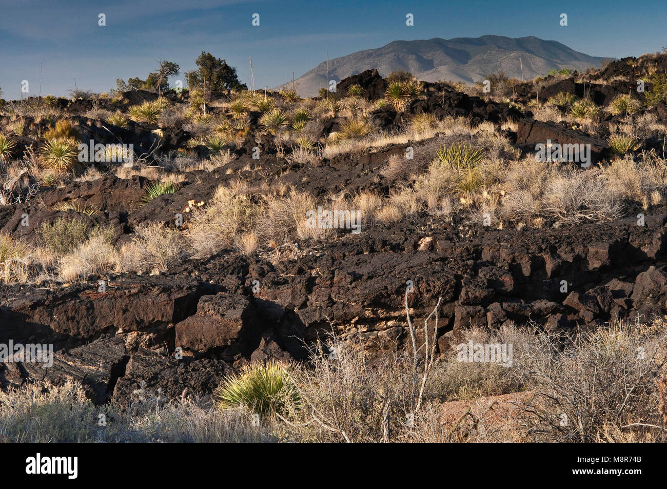 Carrizozo Malpais flusso di lava a valle degli incendi Area ricreativa nel bacino Tularosa vicino Carrizozo, Nuovo Messico, STATI UNITI D'AMERICA Foto Stock