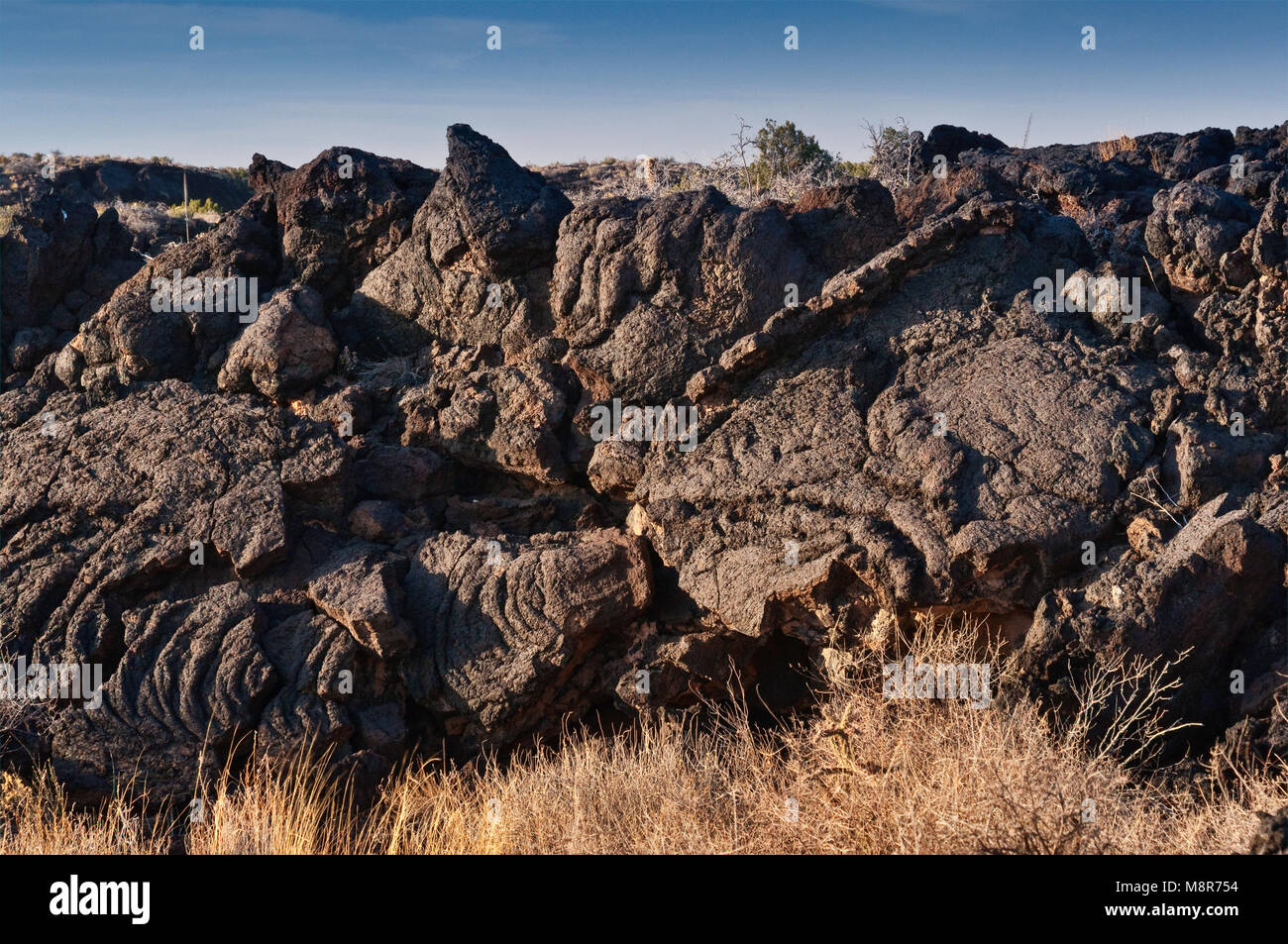 Carrizozo Malpais flusso di lava a valle degli incendi Area ricreativa nel bacino Tularosa vicino Carrizozo, Nuovo Messico, STATI UNITI D'AMERICA Foto Stock