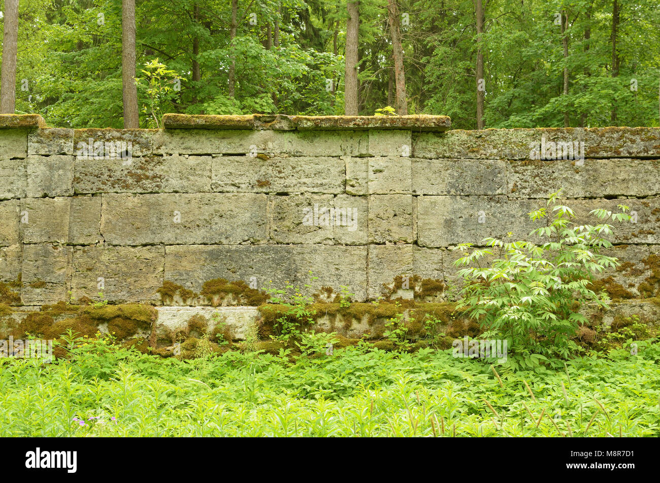 Recinzione in pietra nel bosco.Architectural l'edificio ha un valore storico. Foto Stock