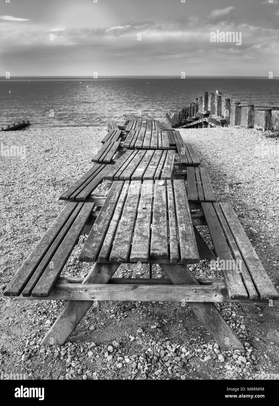 Una fila di picnic in legno Tavoli da banco a Whitstable beach, Kent, Regno Unito, con pennelli di legno e una vista dell'orizzonte oltre il mare in bianco e nero Foto Stock