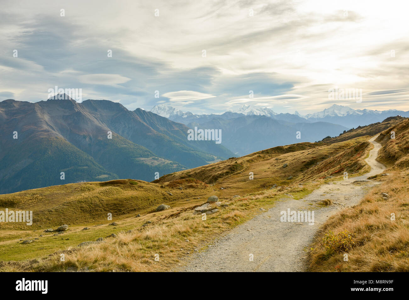 Percorso a piedi nelle Alpi Svizzere vicino a Bettmeralp Foto Stock