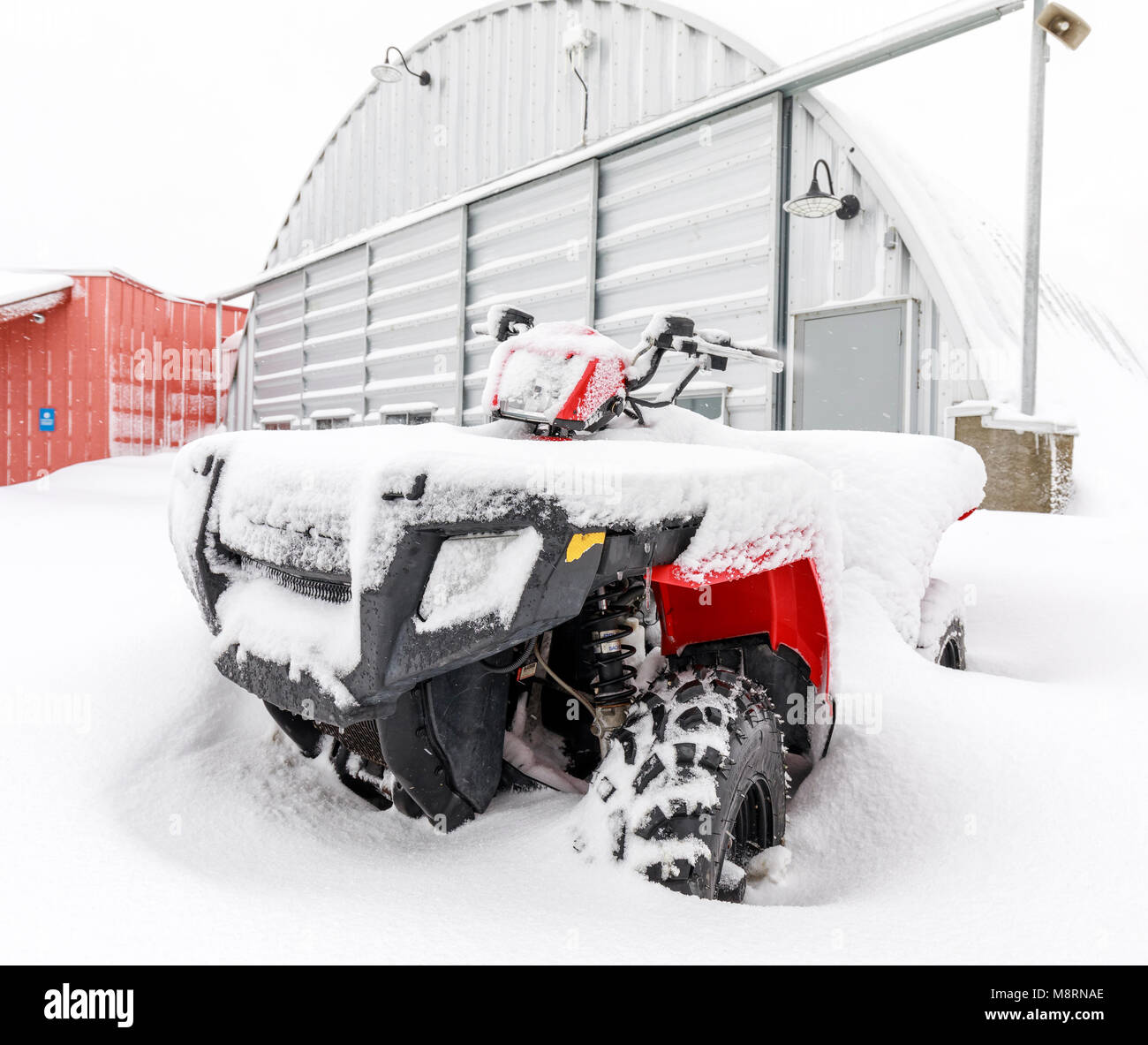 Veicolo fuoristrada, 4 Wheeler ATV, nella neve, Manitoba, Canada. Foto Stock