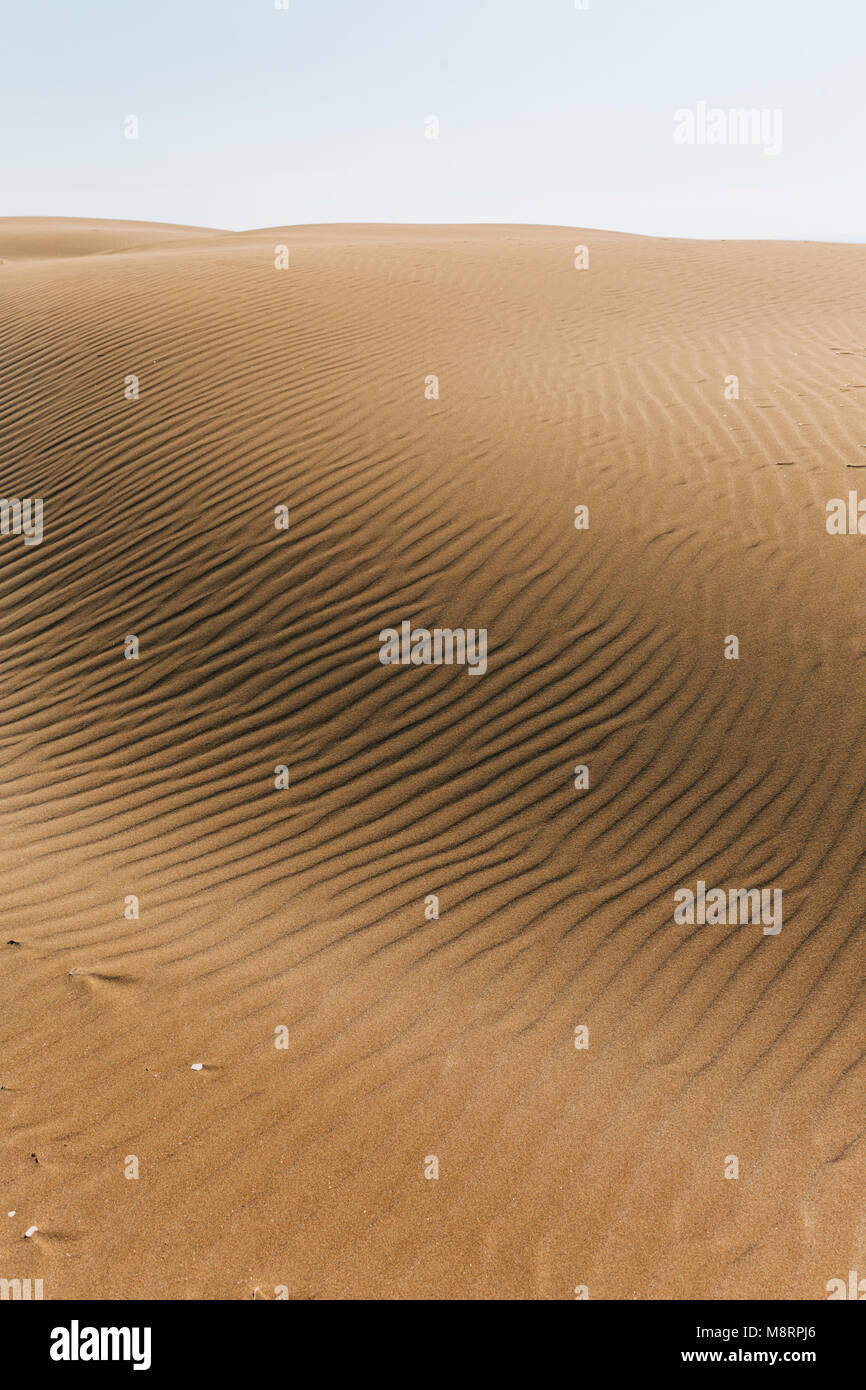 Vista panoramica del deserto contro il cielo chiaro Foto Stock