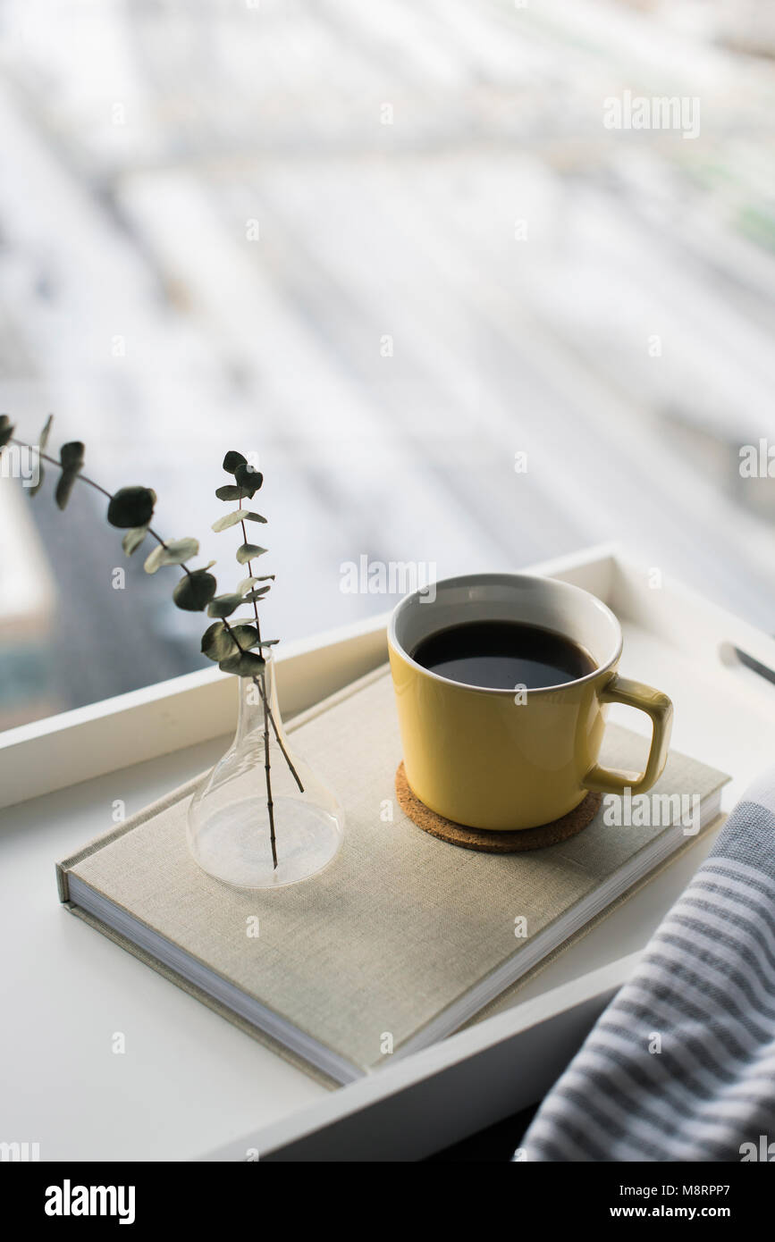 Angolo di alta vista di ramoscelli nel vaso sul diario dalla tazza di caffè contro la finestra Foto Stock