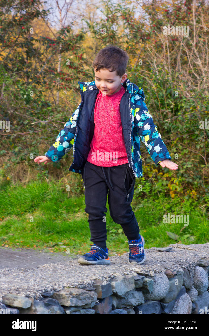 Un neonato boy camminare e bilanciamento sulla sommità di un muro di pietra a Castlewellan in Irlanda del Nord crescono Foto Stock