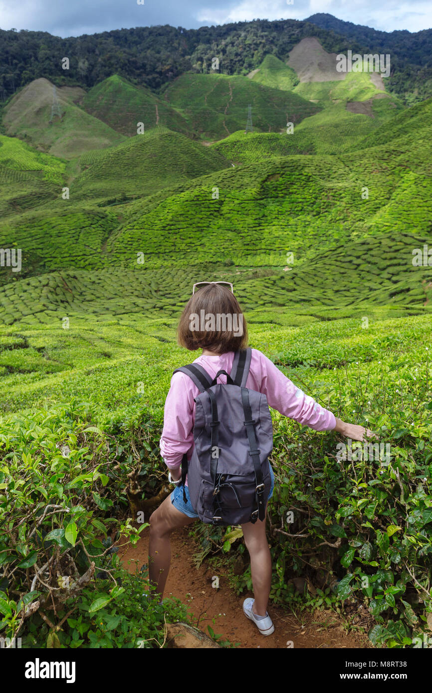 Elevato angolo di visione femminile di escursionista con zaino toccando le coltivazioni di tè Foto Stock