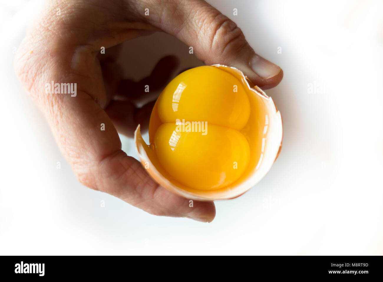 Fare doppio tuorlo d'uovo, doppio tuorlo d'uovo, in mano. Foto Stock