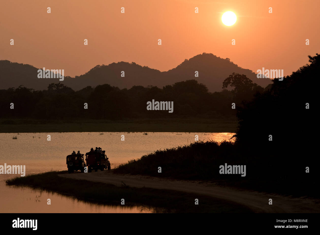 Minneriya National Park in Sri Lanka con un gruppo di turisti in una jeep 4 x 4 accanto a un lago guardando il caldo tramonto di sera. Foto Stock