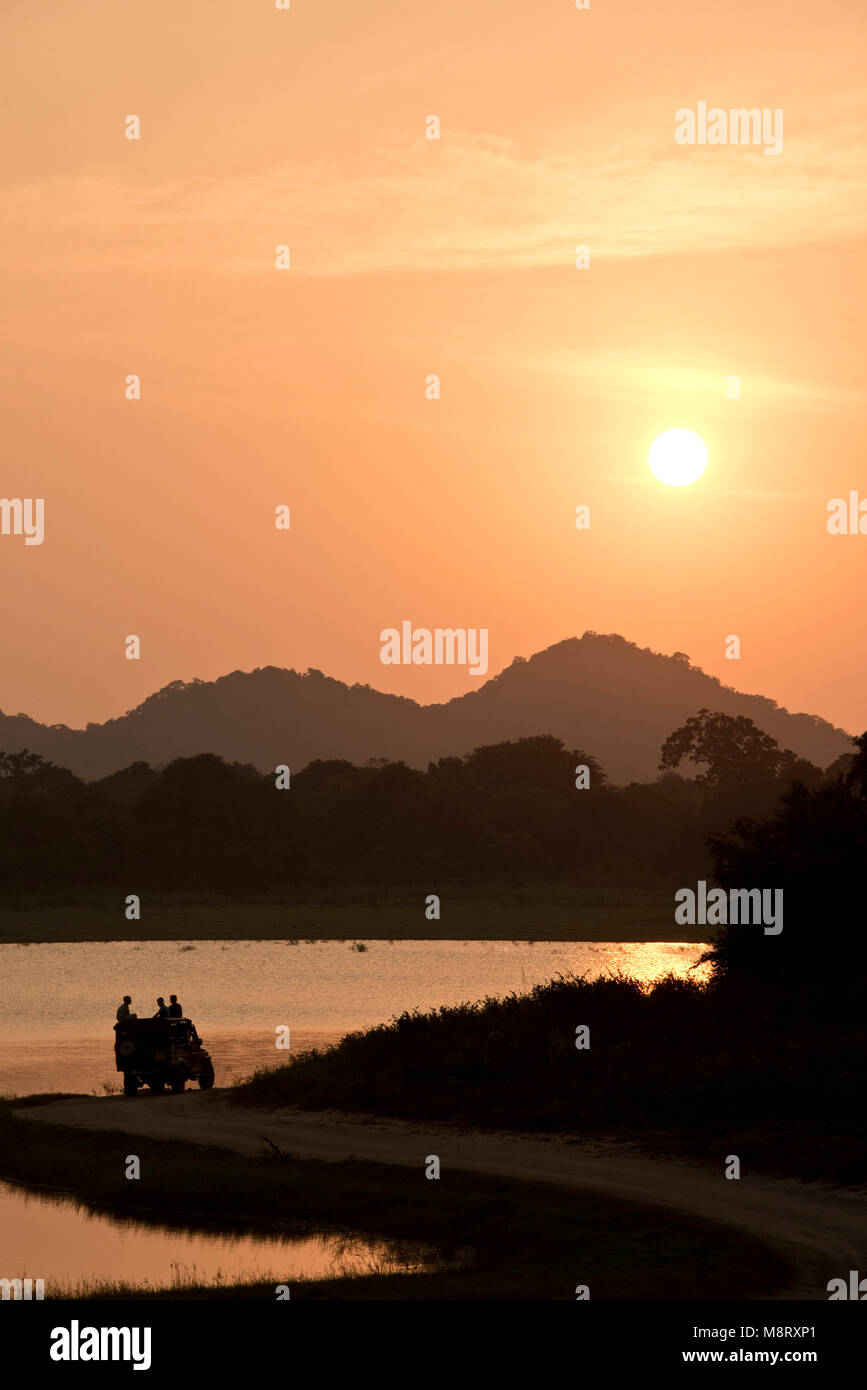 Minneriya National Park in Sri Lanka con un gruppo di turisti in una jeep 4 x 4 accanto a un lago guardando il caldo tramonto di sera. Foto Stock